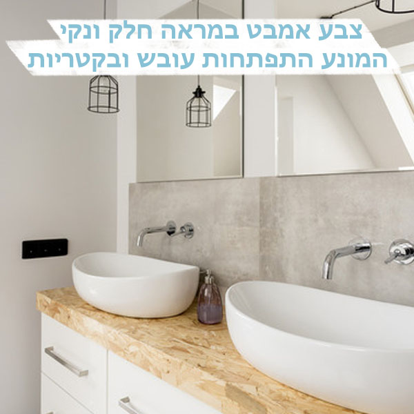 תמונה של חדר אמבט בו ייושם צבע לאמבטיה אקווניר BATH מבית נירלט